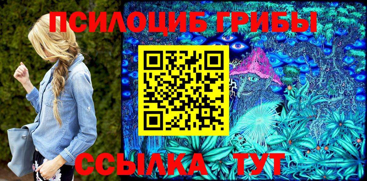 Галлюциногенные грибы Psilocybine cubensis Гай