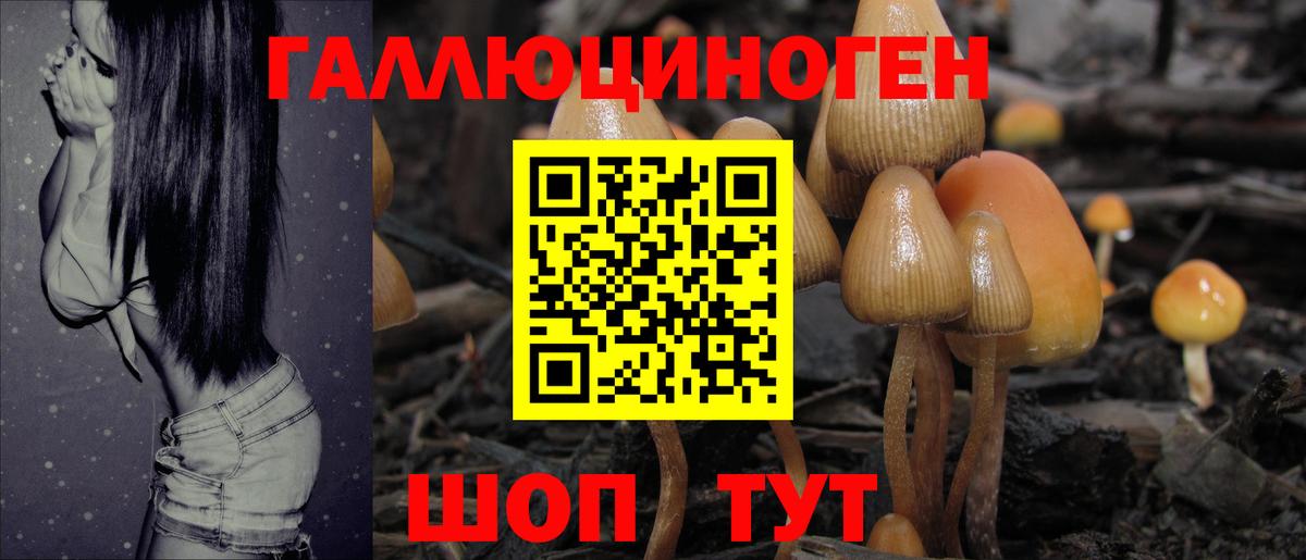 Гай  Галлюциногенные грибы MAGIC MUSHROOMS  Вход с VPN 